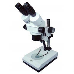 Stereomikroskop binokulär och trinokulär