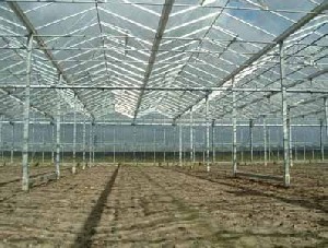Glasväxthus venlo begagnat genomgånget 5370 m&sup2;