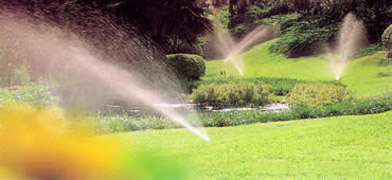 sprinklers sprinklers