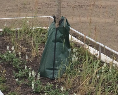 Bevattningspåsar TRG Drip Bag för nyplanterade träd & buskar 75 liter/bag, pris/st