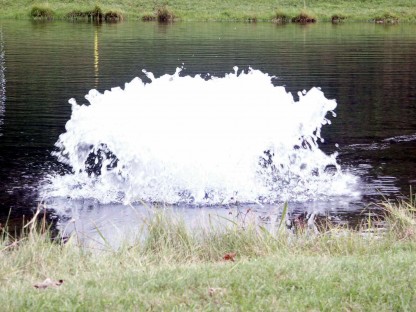 Syresättare och fontäner för dammar i trädgård (3/4 hp, 1 fas) stub