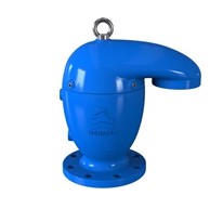 Luftventil Bermad WWC75 R250/10"